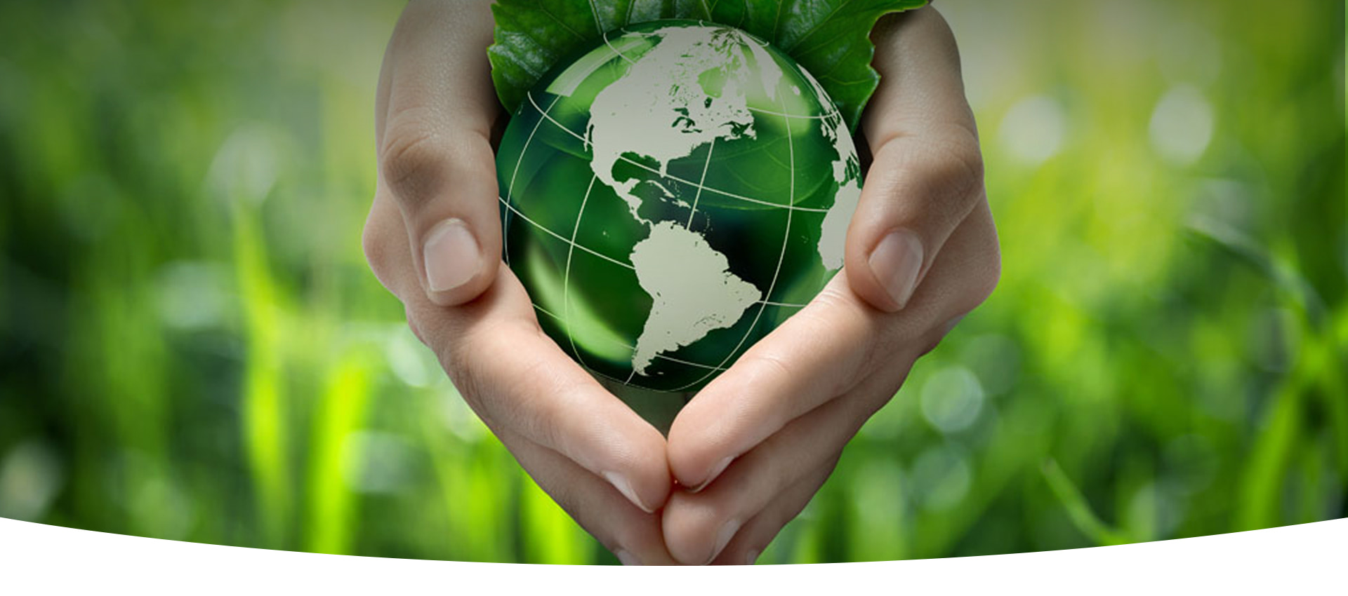 綠色地球守護者